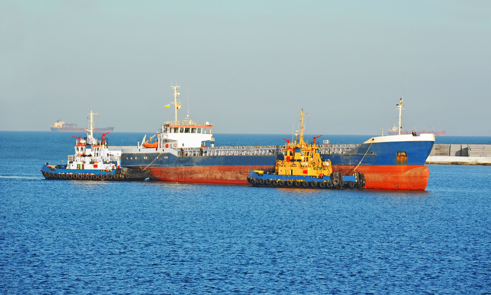 تامین آذوقه